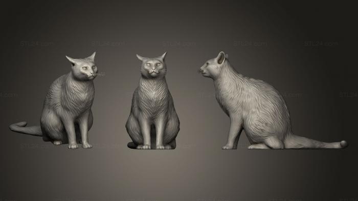 Статуэтки животных (Рыжий кот 07, STKJ_0416) 3D модель для ЧПУ станка